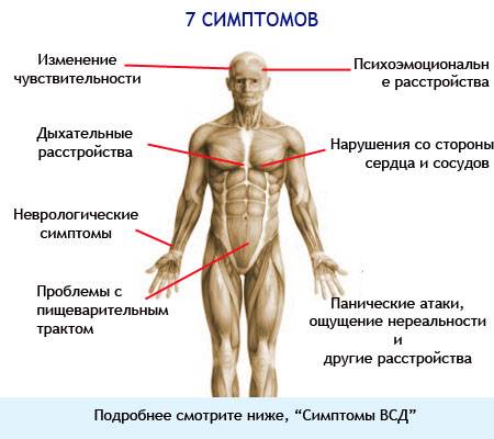 Симптомы ВСД у взрослых на картинке
