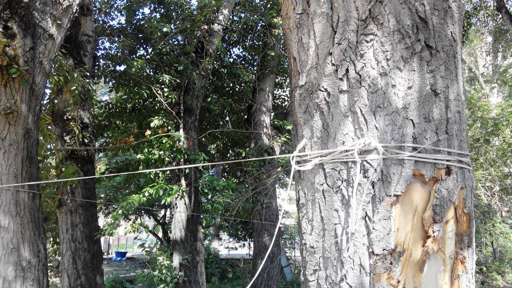 IMG 20140810 112326